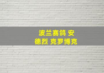 波兰赛鸽 安德烈 克罗博克